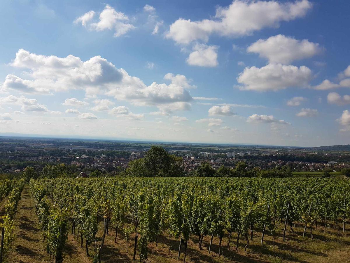 VINS HEITZ